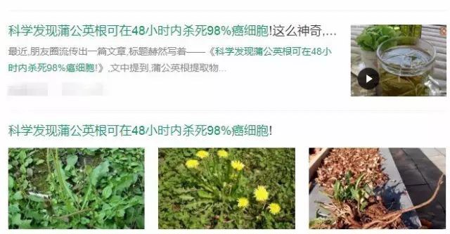 蒲公英是抗癌之王，不仅能杀死癌细胞，还能消除结节？告诉你答案