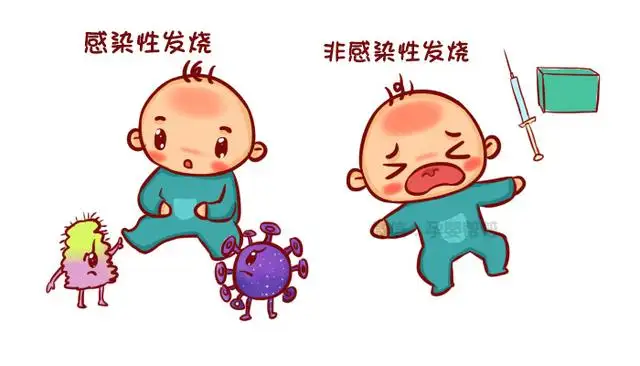 儿童发热家庭护理指南：急诊护士详解应对步骤
