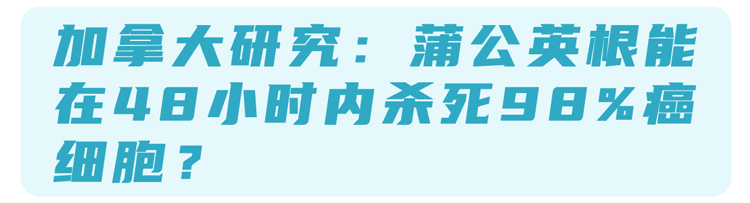 蒲公英是抗癌之王，不仅能杀死癌细胞，还能消除结节？告诉你答案