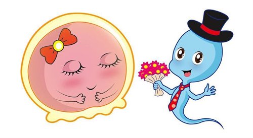 西北妇女儿童医院龚世珣：卵巢低反应患者试管，她专门做个体化方案
