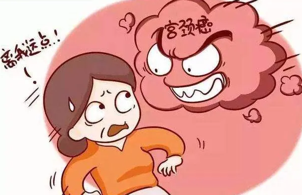 什么情况下需要办理冻精？