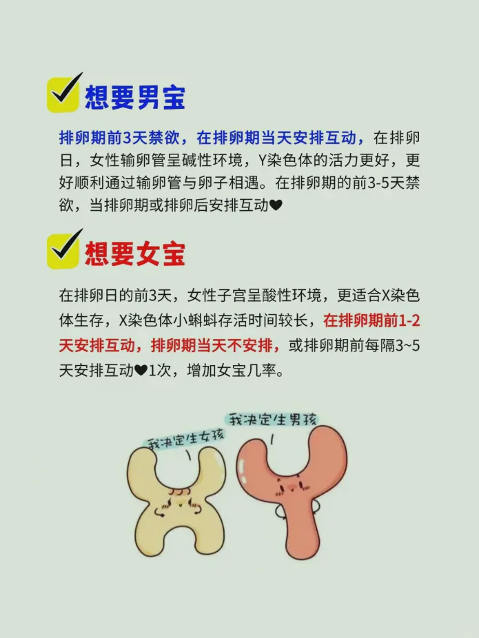 多囊促排期间吃生蚝，能调理卵巢功能吗？