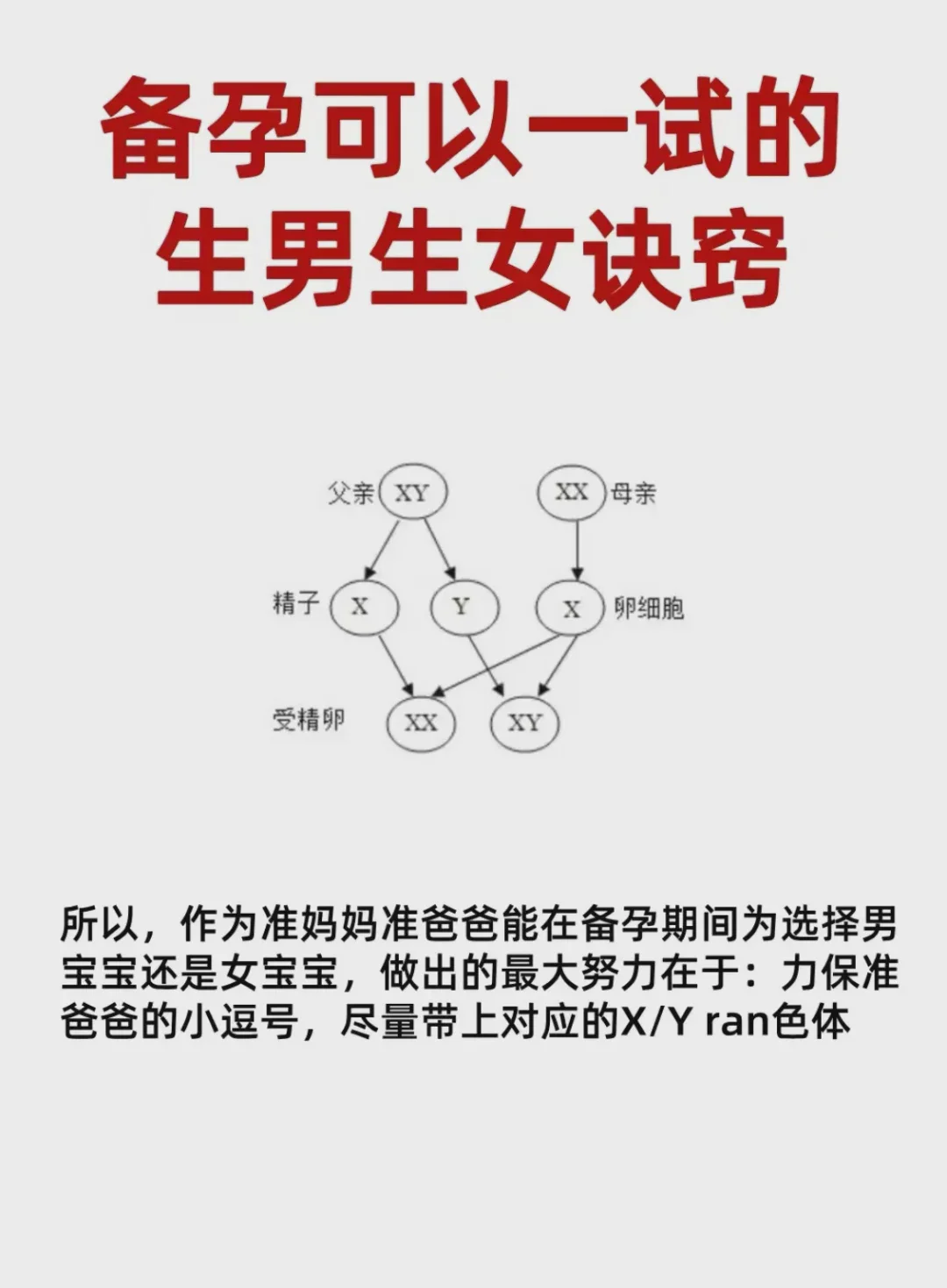 10c1胚胎满足哪些条件才建议移植？